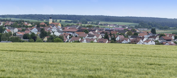 Felder mit der Gemeinde Hausen im Hintergrund.