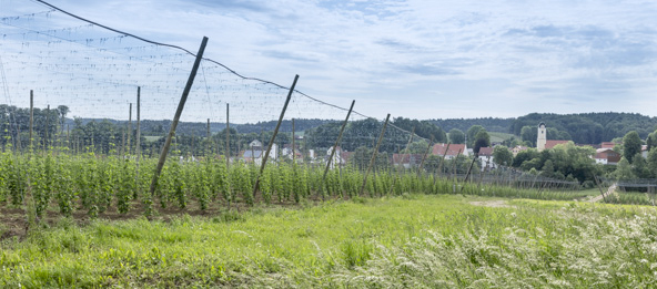 Gemeinde Attenhofen Gesellschafter Über uns AbensDonauEnergie