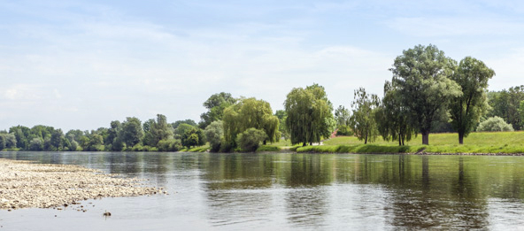 Die Donau mit Wiesen und Bäumen im Hintergrund.