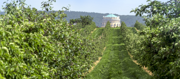 Bepflanzte Wiesen mit einem Gebäude im Hintergrund.