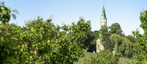 Bäume mit dem Kirchturm der Gemeinde Ihrlerstein im Hintergrund.