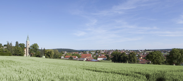 Felder mit der Gemeinde Ihrlerstein im Hintergrund.