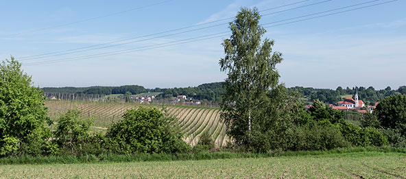 Felder und Häuser der Gemeinde Aiglsbach.