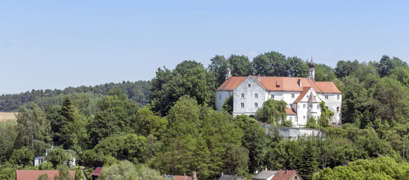 Schloss Wildenberg umgeben von grünen Bäumen