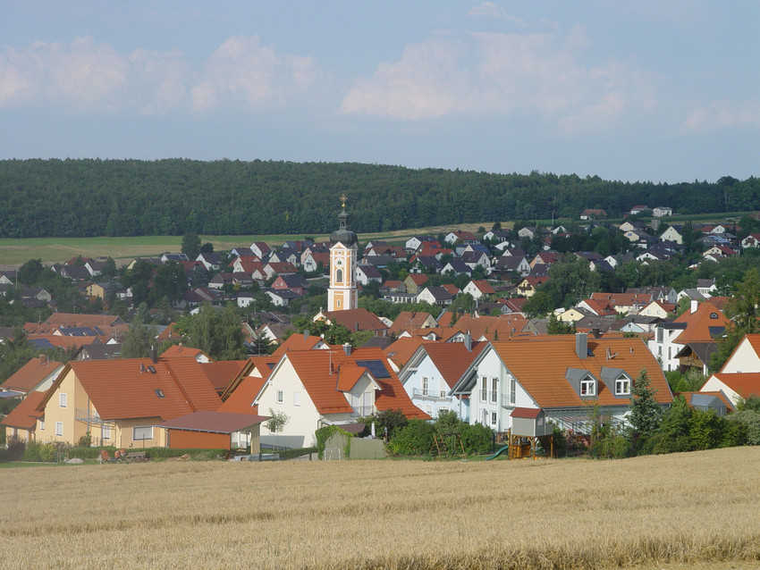 Feld, mit Kirchturm und Häusern von Markt Painten im Hintergrund.