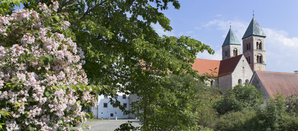 Die Pfarrkirche Biburgs mit Bäumen im Vordergrund.