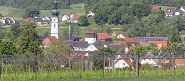 Hopfenfelder mit der Gemeinde Elsendorf im Hintergrund.