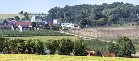 Felder und die Gemeinde Kirchdorf.