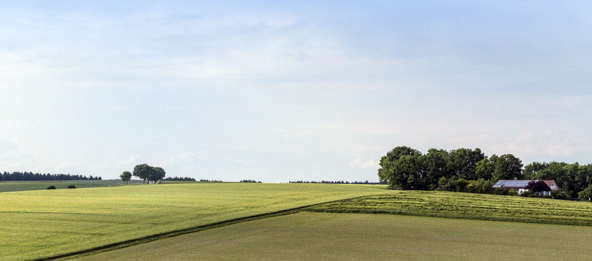 Felder in Markt Rohr in Niederbayern.